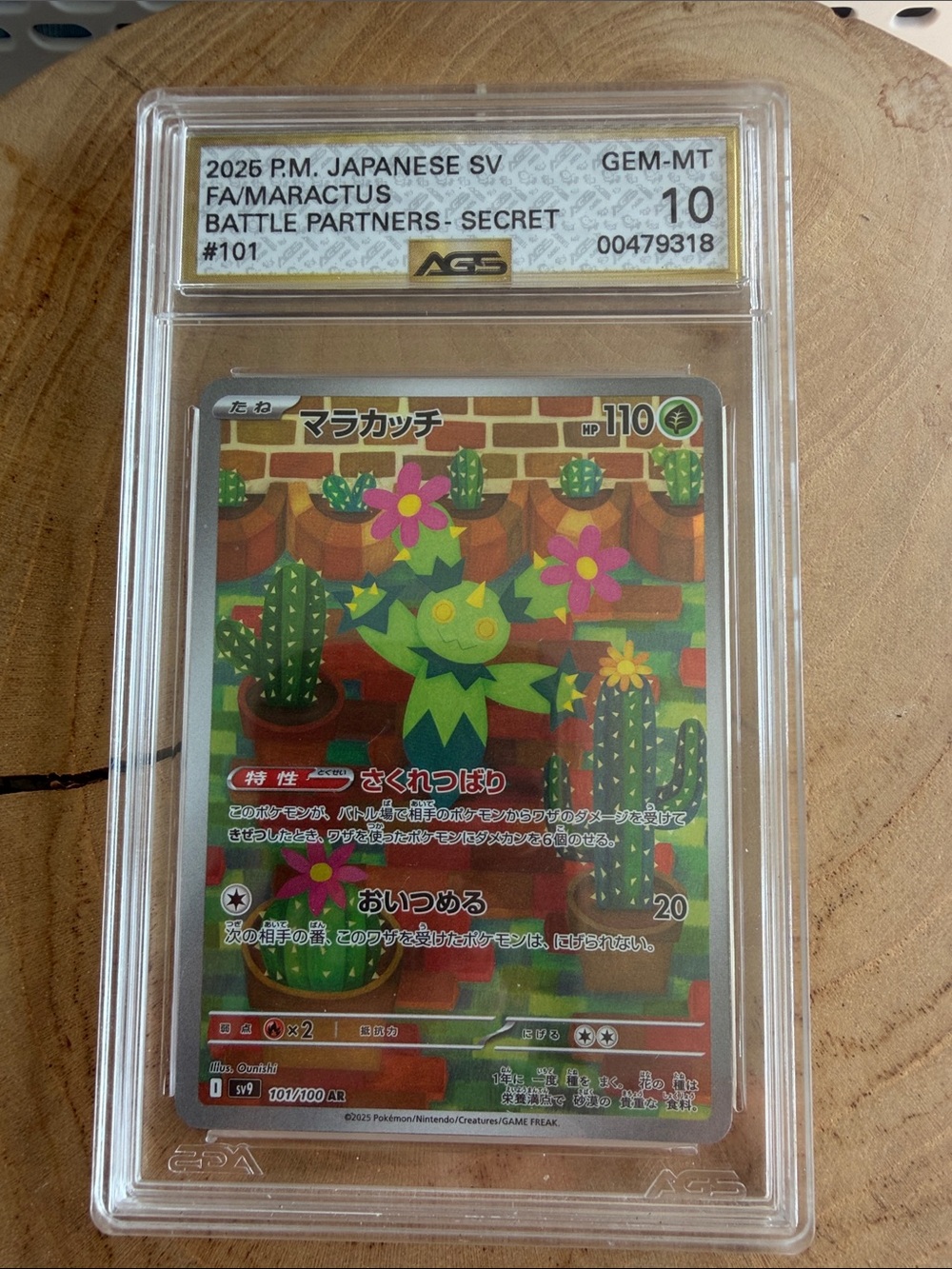 Pokemon Secret FA/Maractus Japanese SV Holographic Card - Green, Pink, Brown
